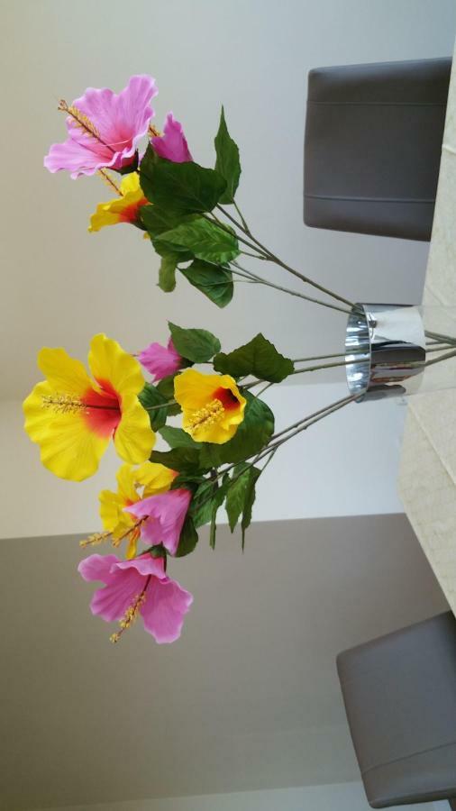 Apartamento Ideal Familias Y Grupos Vigo Ngoại thất bức ảnh